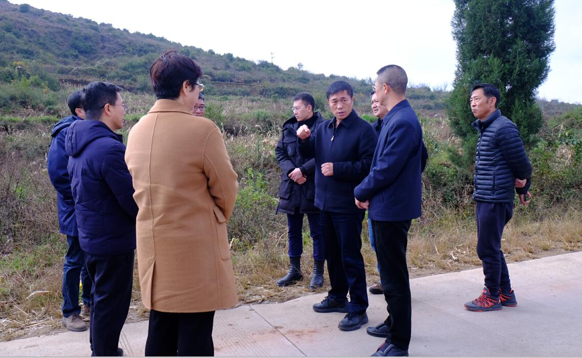 QQ截图20211215094056.jpg