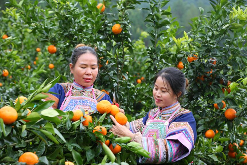 QQ截图20211227092607.jpg