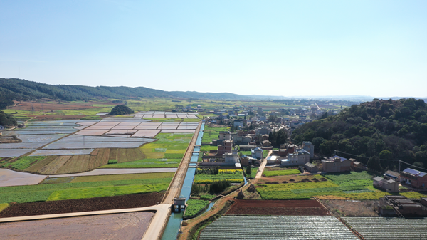 彩云镇石洞村茭白、花菜等蔬菜种植基地鸟瞰（2022年3月3日摄）.bmp