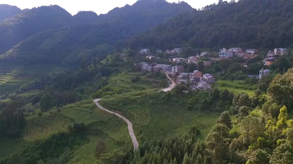 通往高良乡申独村的乡间道路.bmp