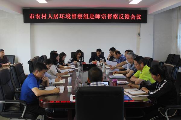 反馈会议