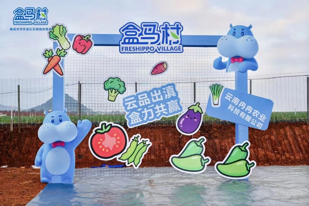 1768963039423346.jpg 0efcf40fb8382539d2018f661babf7eb.jpg